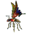 Winged insect